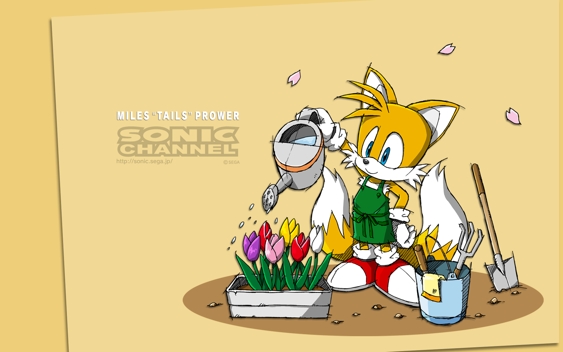 wallpaper_101_tails_07_pc.png