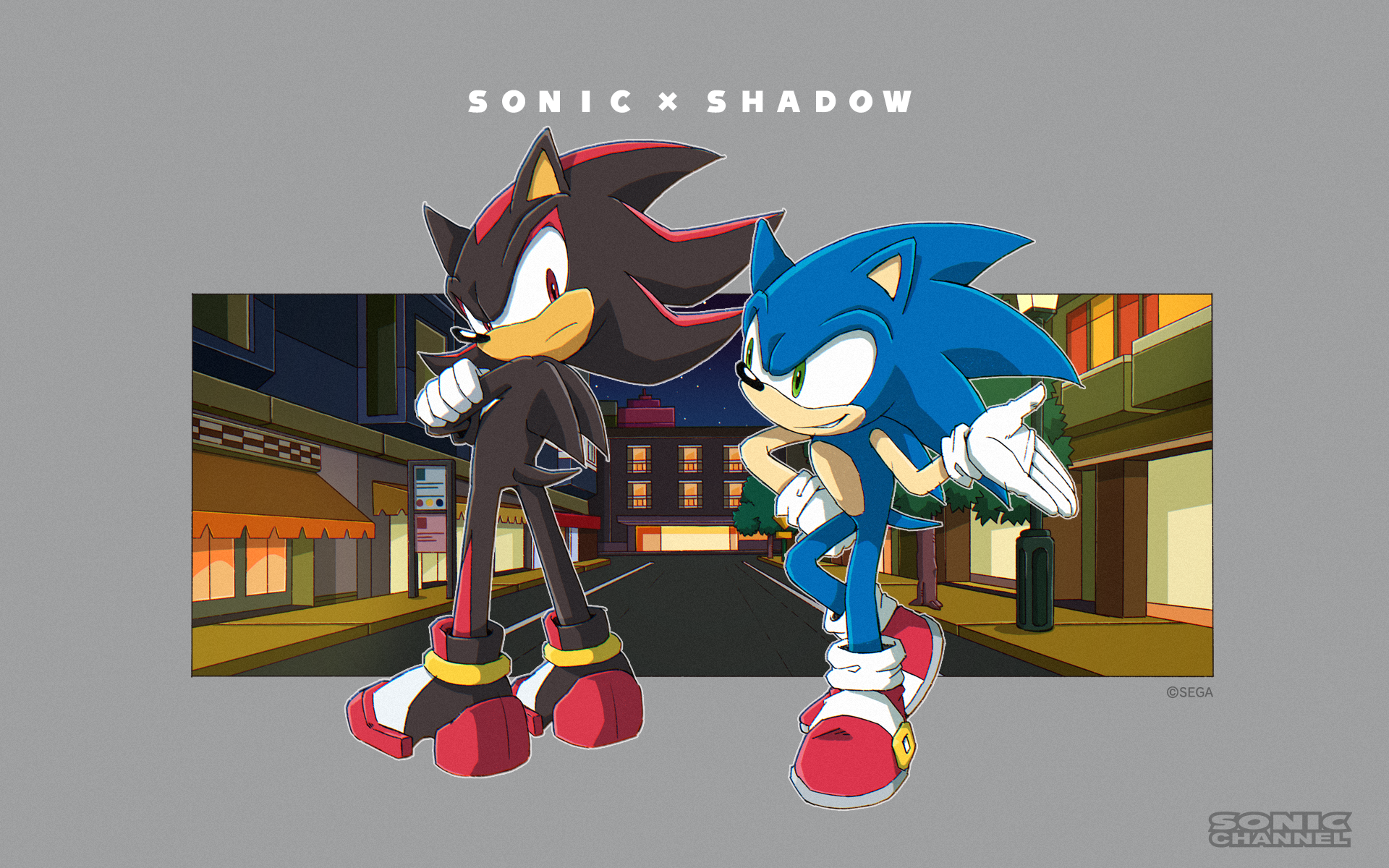 Sonic the Hedgehog (2006) – All Hail Shadow 