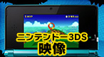 ニンテンドー3DS 映像