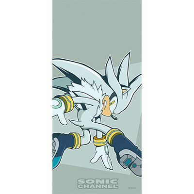 シルバー19