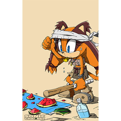 スティックス02