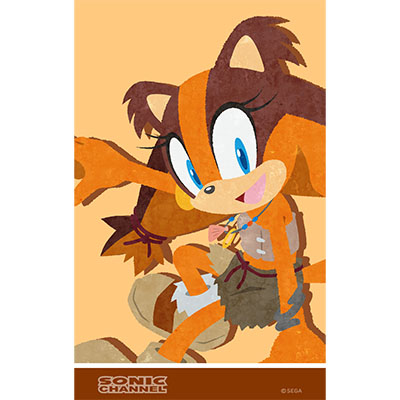 スティックス03