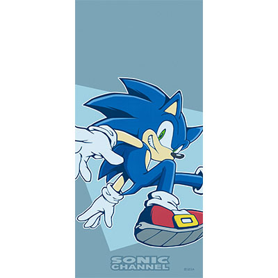 ソニック27