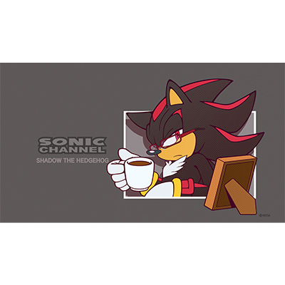 シャドウ21