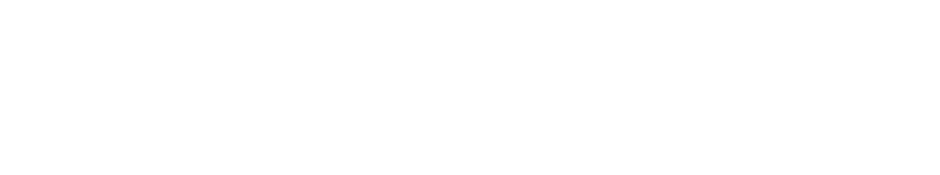 コレクターズエディション