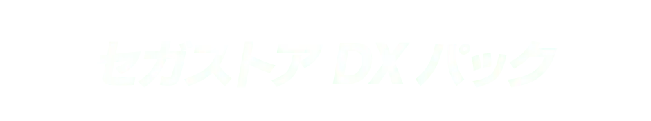 セガストアDXパック